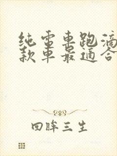 纯电车跑滴滴哪款车最适合
