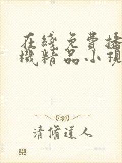 在线免费播放手机精品小视频