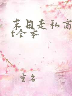 末日走私商txt全本