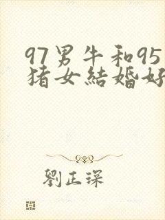 97男牛和95猪女结婚好不好