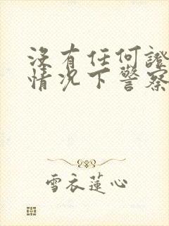 没有任何证据的情况下警察可以拘留吗