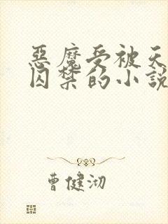 恶魔受被天使攻囚禁的小说
