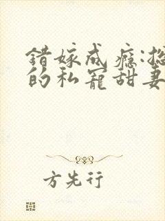 错嫁成瘾:总裁的私宠甜妻