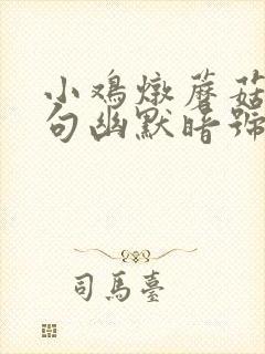 小鸡炖蘑菇下一句幽默暗号