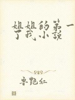姐姐的第一次给了我小说