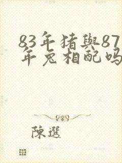 83年猪与87年兔相配吗