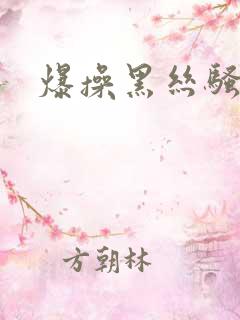 爆操黑丝骚b