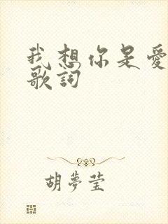 我想你是爱我的歌词