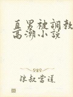 直男被调教玩弄高潮小说