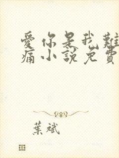 爱你是我难言的痛小说免费阅读