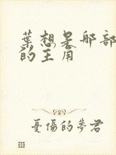 叶想是哪部小说的主角