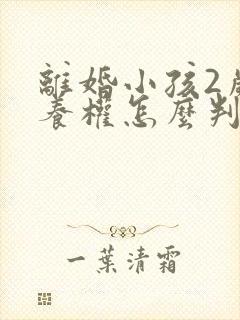 离婚小孩2岁抚养权怎么判