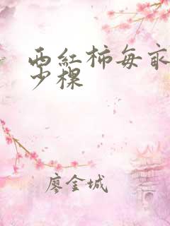 西红柿每亩种多少棵