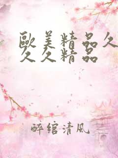 欧美精品久久久久久精品