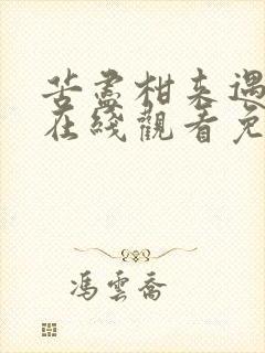 苦尽柑来遇见你在线观看免费观看