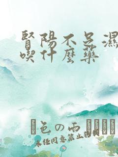 肾阳不足湿气重吃什么药