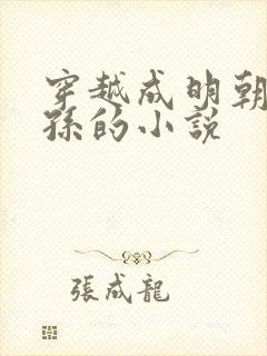 穿越成明朝皇太孙的小说