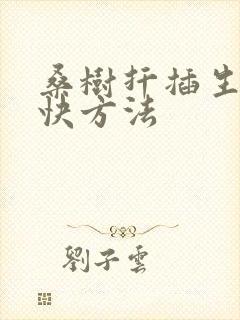 桑树扦插生根最快方法