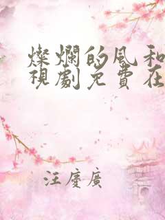 灿烂的风和海电视剧免费在线观看