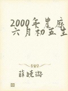 2000年农历六月初五生辰八字