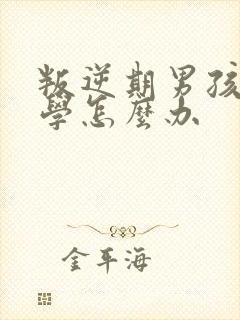 叛逆期男孩子厌学怎么办