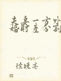 夫妻一方外遇离婚财产分割