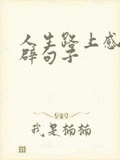 人生路上感悟精辟句子