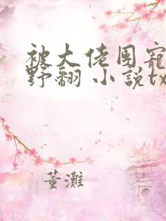 被大佬团宠后我野翻 小说txt下载
