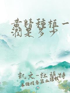 黄精种植一亩利润是多少