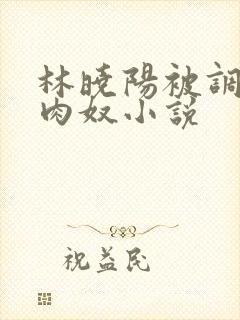 林晓阳被调教成肉奴小说