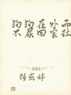 狗狗在外面不拉不尿回家拉尿怎么办