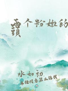 两个粉嫩的小奶头
