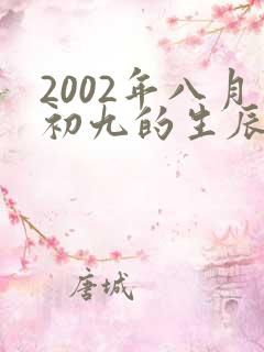 2002年八月初九的生辰八字