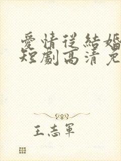 爱情从结婚开始短剧高清免费播放
