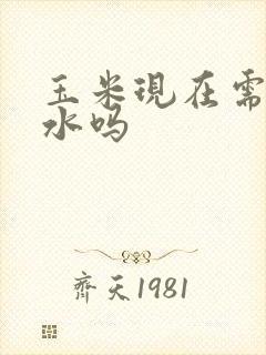 玉米现在需要浇水吗