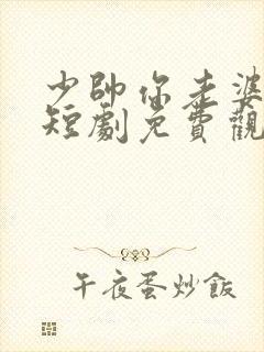 少帅你老婆跑了短剧免费观看