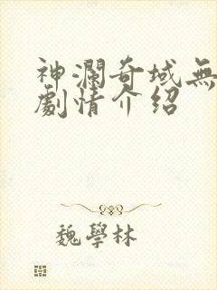 神澜奇域无双珠剧情介绍