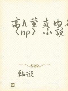 高h荤爽肉欲文〈np〉小说