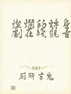 灿烂的转身电视剧在线观看全集免费