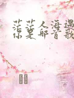 茫茫人海遇见了你是哪首歌的歌词
