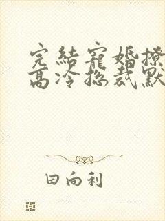 完结宠婚撩人:高冷总裁默默爱 小说