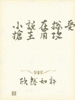 小说在总受文里抢主角攻