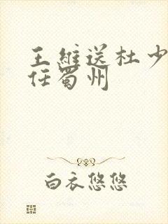 王维送杜少府之任蜀州