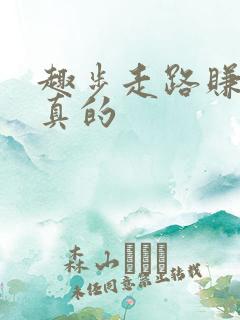 趣步走路赚钱是真的