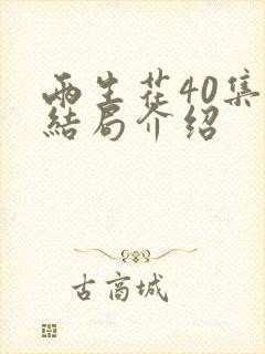 两生花40集大结局介绍