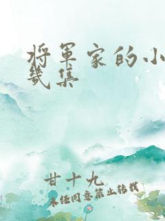 将军家的小娘子几集