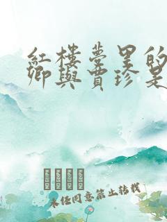 红楼梦里的秦可卿与贾珍是什么关系
