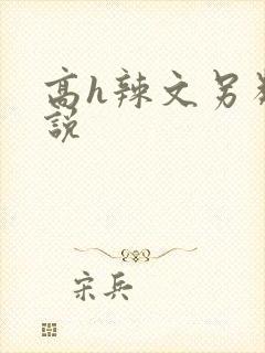 高h辣文另类小说