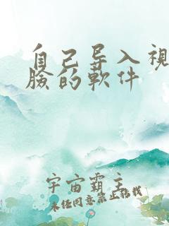 自己导入视频换脸的软件