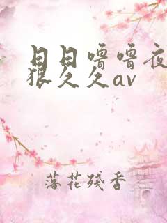 日日噜噜夜夜狠狠久久av
